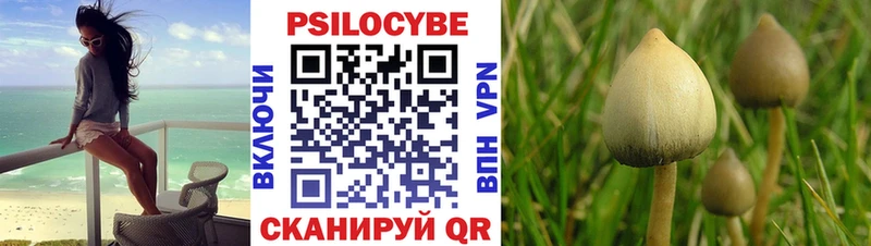 где купить наркотик  мега рабочий сайт  Галлюциногенные грибы Psilocybine cubensis  Северодвинск 