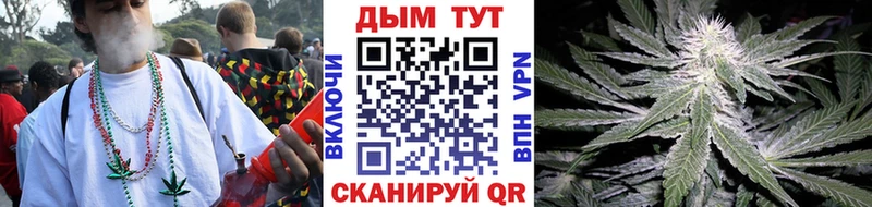 дарнет шоп  Северодвинск  Бошки марихуана план 
