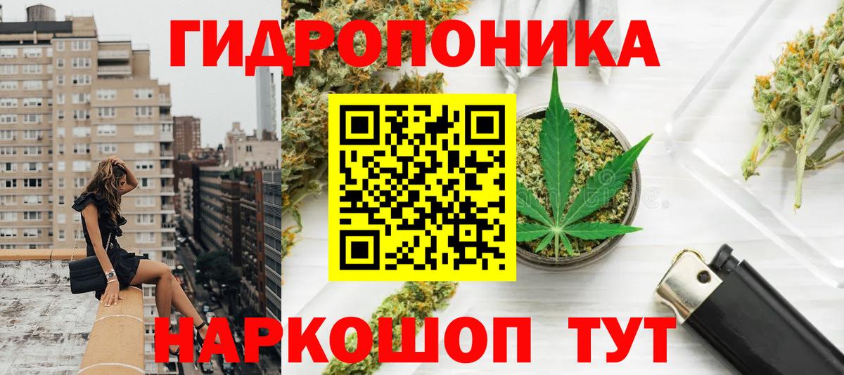Конопля план Северодвинск